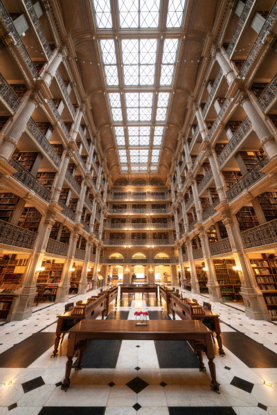 AI 기술을 통한 심층 시장 분석: 데이터로 여는 기회